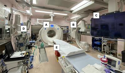 Effectiveness of a hybrid emergency room system in the management of acute ischemic stroke: a single-center experience